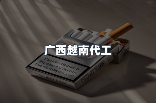 广西越南代工